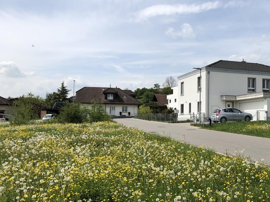 Wohnen am Rüstelbächli in Gipf-Oberfrick