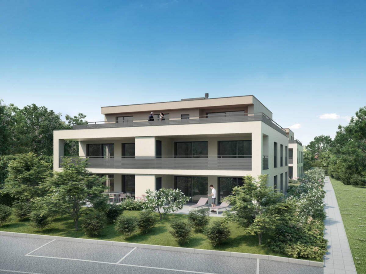 Visualisierung Neubau Sunnefeld in Gipf-Oberfrick - Ansicht von der Schulstrasse