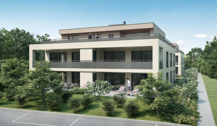 Neubau Projekt Sunnefeld in Gipf-Oberfrick