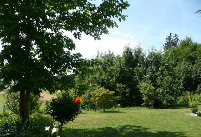 Natur pur im eigenen Traumgarten